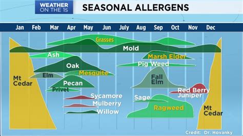 Allergens austin. During peak season for tree pollen, keep your windows and doors closed, especially on windy days. Avoid outdoor activities in the early morning, and be sure to shower and change clothes after ... 