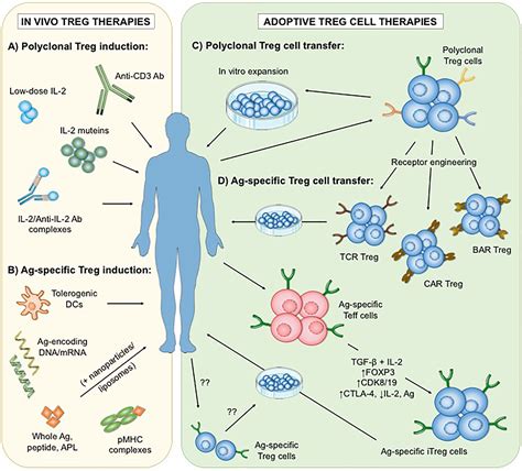 Allergic and Immunologic Disease