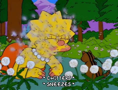 The perfect Allergies Sneeze Pollen Pois