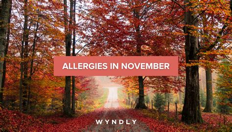 Allergies in November: Symptoms, Diagnosis, and Treatment (2024)