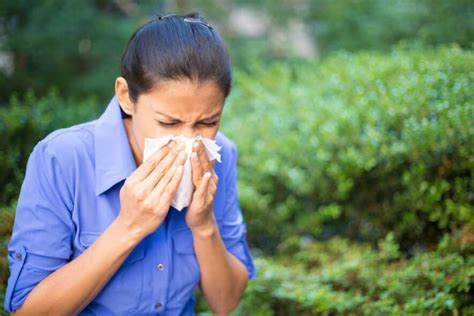Atlanta Allergy & Asthma is the largest allergy group in Atlanta, with 19 locations. For more than 50 years, we have been the experts in the diagnosis and treatment of allergies, asthma, food allergies, sinusitis, and immunologic diseases.. 