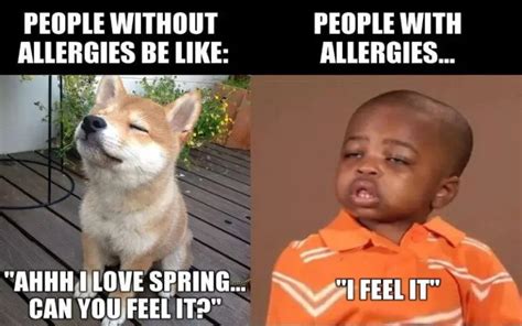 Allergies meme. Apr 17, 2017 - Jump into the meme stream and enjoy! 