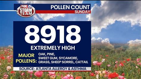 North atlanta, GA Weather. 11. Today. Hourly. 10 Day. Radar. Video. 15 Day Allergy Forecast ... Today's Pollen Count. The pollen count is a measure of the pollen density in the air. Last updated .... 