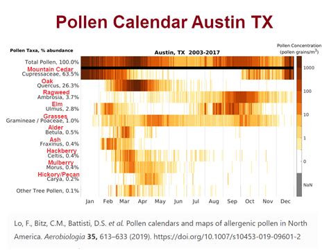 Texas’ Allergy Season Calendar. November to February: Mountain Cedar. This allergen is particularly acute in Central Texas, where mountain cedar is plentiful. Additionally, since the pollen is small, light, and can travel hundreds of miles, it’s difficult to avoid. Symptoms: The pollen from these common trees can lead to itchy, watery eyes .... 