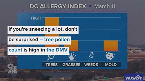 Pollen Breakdown covers specific pollens like ragwee