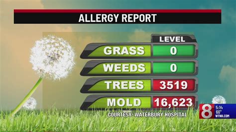 Allergy forecast connecticut. During peak season for tree pollen, keep your windows and doors closed, especially on windy days. Avoid outdoor activities in the early morning, and be sure to shower and change clothes after ... 