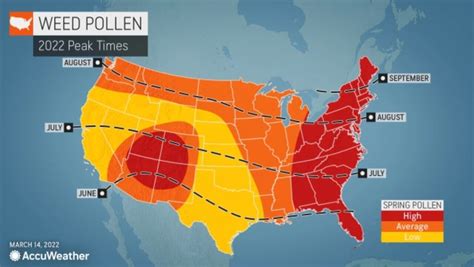 Is tree pollen going to affect your allergies today? Get your local tree pollen allergy forecast and see what you can expect.