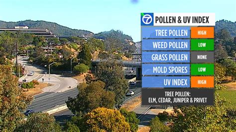 San Francisco pollen count and allergy risks are now 1. Get real-time and forecast pollen count and allergy risks data. Read today's pollen levels in San Francisco, California with IQAir. ... Index Tree Grass Weed Wind Weather Temperature; Today: Low. Low. Low. None. 13.4 mp/h . 60.8° 51.8° Friday, May 31: Low. Low. None. None. 17.9 mp/h .... 