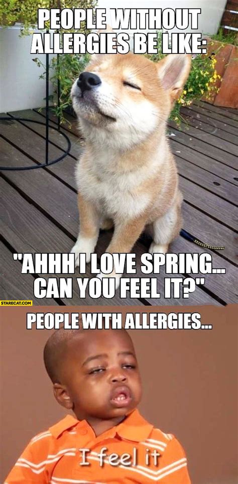 Allergy meme. Things To Know About Allergy meme. 