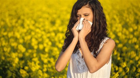 Allergy season getting worse in these Texas cities, study finds
