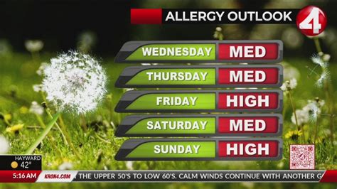 Allergy season in full swing following recent storms