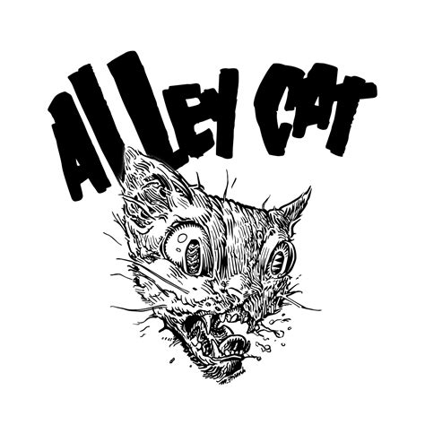 💦 Alleycat Leaks XXX 51 Vids