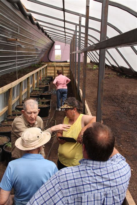 Alliance greenhouse uses geothermal heat to produce all yearlong