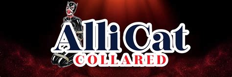 Allicatcollared
