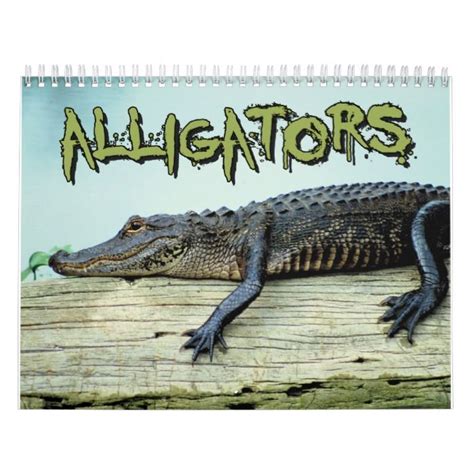 Alligator Aquatics Team Calendar