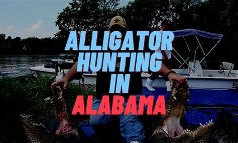 Alligator Hunting in Alabama (Rules, Regulations, and Guide)