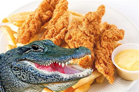 Alligator food near me. Things To Know About Alligator food near me. 