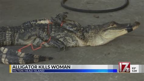 Alligator found guarding woman's body near South Carolina lagoon: authorities