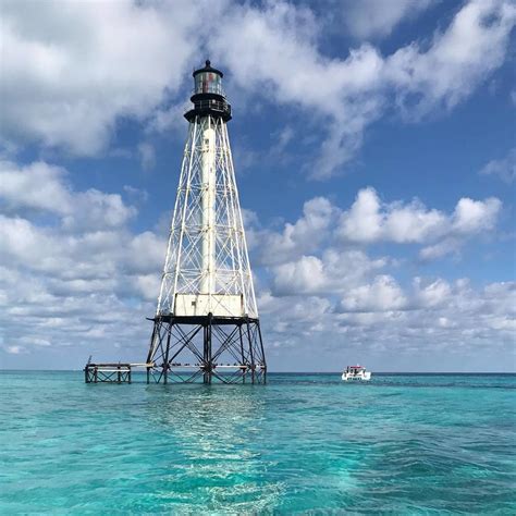 Alligator lighthouse. The name Alligator Reef Lighthouse was inspired by the Navy Schooner “Alligator,” a ship that fought pirates in the Key West. This lighthouse was first constructed in 1873 as an iron pile skeleton frame with a black lantern situated 136 feet above the sea. To help sailors determine their sector, the light alternates between shining red and ... 