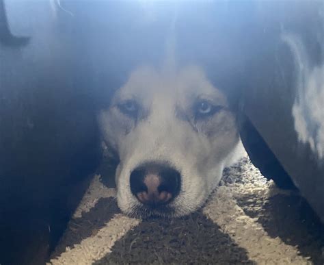 Allison From 🍊 Onlyfans Leaked PORN 🍆 154 Vids