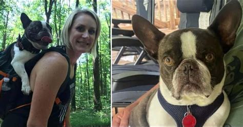 After investigating, police determined that 44-year-old Allison Gaiser, of Kittanning, intentionally abandoned the dog near short-term parking on Aug. 4 before boarding a plane to Mexico. Gaiser .... 