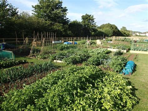 Allotments - Wiltshire Council