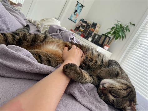 🍆 Allymayyrosie Onlyfans Leaked [HD]