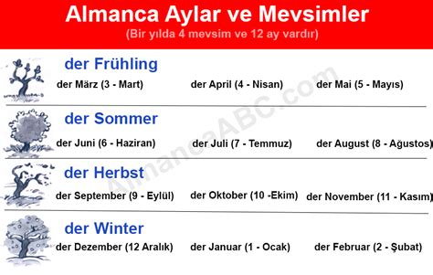 codini.rgarabwor.edu.pl. 