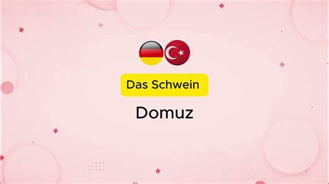 Almanca domuz ne demek. 