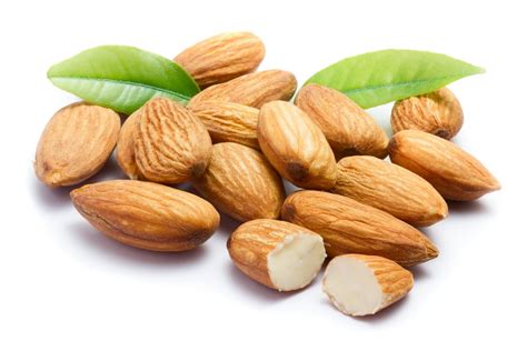 Almonds & Sustainability: The Truth About Almonds …