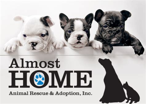 Almost home animal rescue. Things To Know About Almost home animal rescue. 