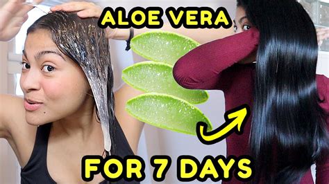 Aloe Vera can be used to moisturize and nourish your natural hair ...