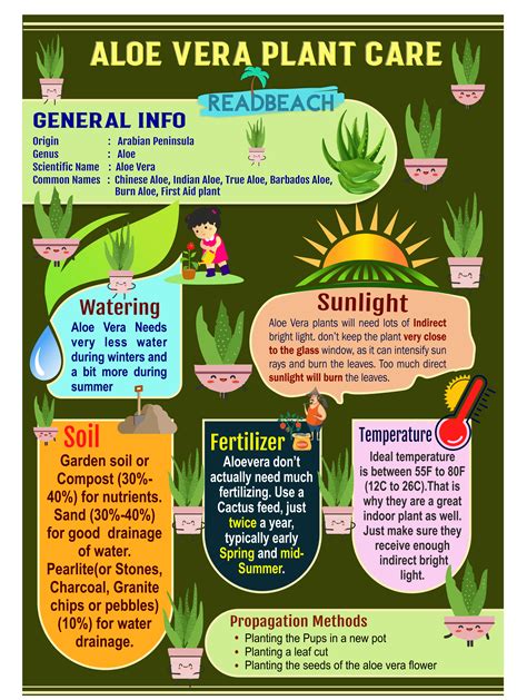 Aloe care. Things To Know About Aloe care. 