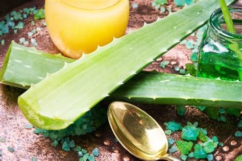 Aloe vera recept