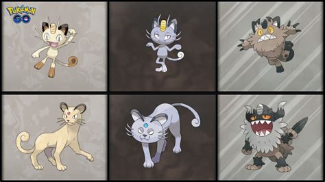 Alola meowth evolution. When the monarchy fell, the rare Alolan Meowth went feral and eventually grew as common in Alola as anywhere else. Alolan Meowth's fur is a light blue-gray color. Instead of brown markings, the tip of its tail, whiskers, digits, and the insides of its ears a whitish-gray. 
