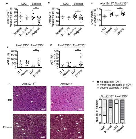 Alox12/15 Deficiency Exacerbates, While Lipoxin A