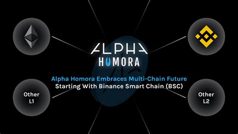Alpha Homora's Multi-Chain Strategy: Reaching a Wider Audience