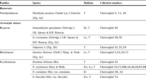 Alphabetical List Bryophytes - FNA