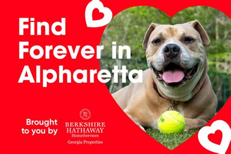 Alpharetta humane society. Things To Know About Alpharetta humane society. 
