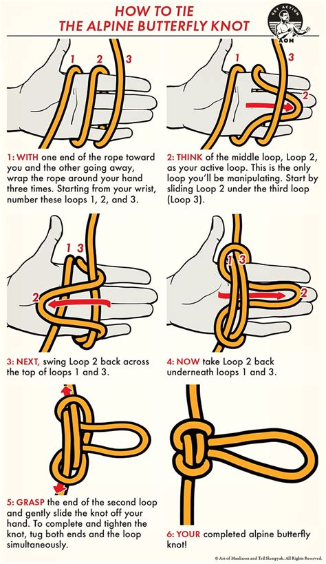 Alpine butterfly knot. Animation shows how to tie the Alpine Butterfly Loop for Climbing and Rescue Workers. From the world's #1 knot site - Animated Knots by Grog.IPHONE APP: http... 