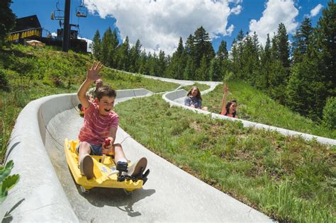 Alpine slides and mountain coasters provide summer fun in Colorado