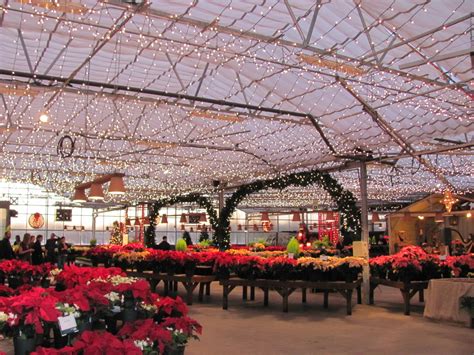 Als garden center. Al's Garden & Home is a local nursery and garden center in Gresham, Oregon, offering a wide range of plants, garden supplies, and home decor. You can shop for annuals, perennials, trees, shrubs, and more from their own greenhouse and other growing facilities. 