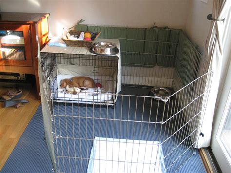 Also we set up our puppy area using baby fences that is next to the door that they will use to go in and out of the house to go potty