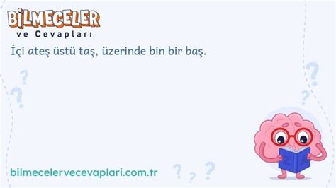 Altı taş üstü taş İçi dolu bin bir baş bilmecesinin doğru cevabı.