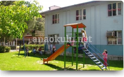 Altınova Anaokulu & Kreş Fiyatları Hepsiemlak.