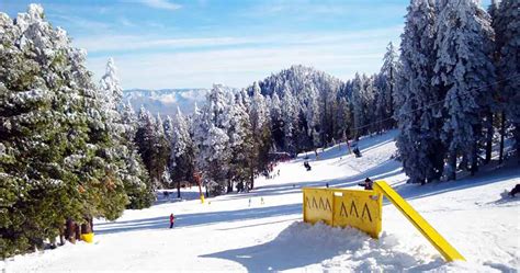 Alta sierra ski resort. Alta Sierra Ski Resort located at 56700 Rancheria Rd, Wofford Heights, CA 93285 - reviews, ratings, hours, phone number, directions, and more. 