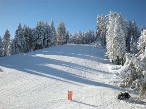 1 weather alerts 1 closings/delays. Watch Now. 1 weather alerts 1 closings/delays. Menu. Search site. ... Alta Sierra Ski Resort. By: Pete Menting, 23ABC. Posted at 7:00 AM, Oct 26, 2021 .. 