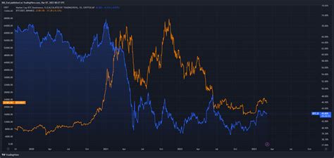 Altcoin Season: What to Expect