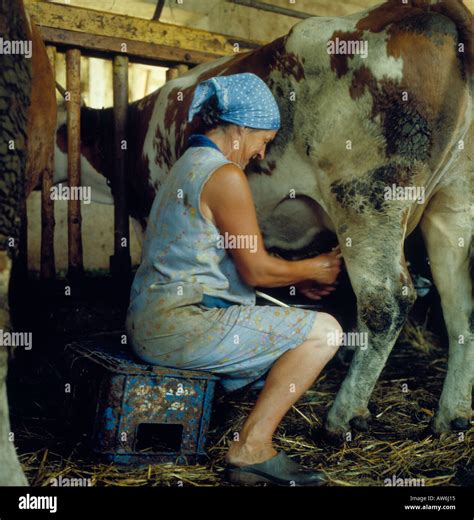 Alte Tropft Milch Beim Ficken