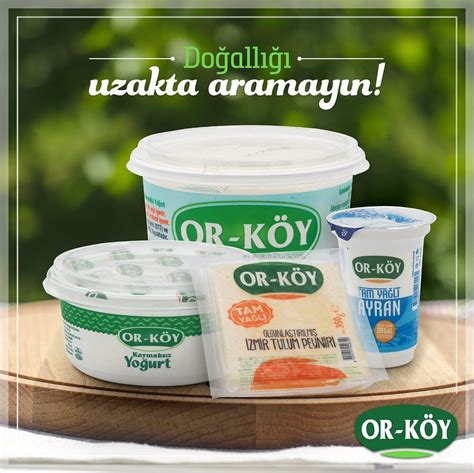 codini.rgarabwor.edu.pl. 